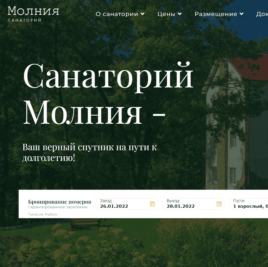Фото главной страницы сайта Молния